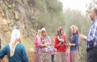 'AKP BUNU YAPARSA KÖYLÜ KURTULUR'