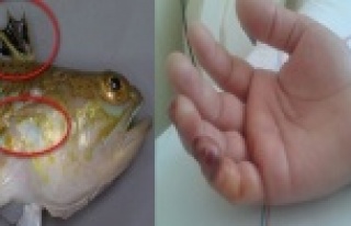 'BALIK, AZ DAHA CANINDAN EDECEKTİ'