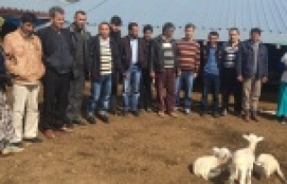 İLÇE TARIM'DAN SÜRÜ YÖNETİMİ KURSU