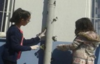 ÖĞRENCİLER OKUL DUVARLARINI YENİDEN İNŞA EDİYOR