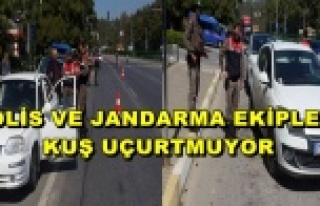 ALANYA'DA HUZUR OPERASYONU