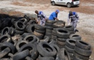 ALANYA'DA SİNEK YUVASI LASTİKLER TOPLANIYOR