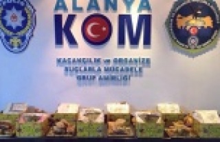 BAL KUTUSUNDAN ÇIKANLAR ŞAŞIRTTI