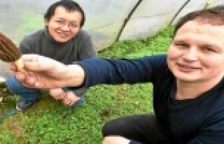 ÇİN'DEN TÜRK KÖYLÜSÜNE BÜYÜK DARBE