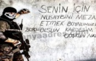 'COŞKUN İÇİN NUSAYBİN'İ MEZAR YAPACAĞIZ'