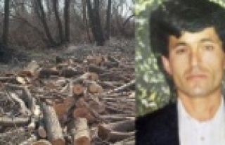 KESTİĞİ AĞACIN ALTINDA KALARAK ÖLDÜ