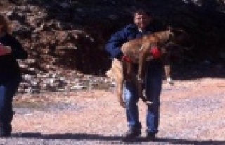 ÖLMEK ÜZERE OLAN KÖPEKLERE YARDIM ELİ