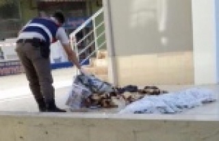 SURİYELİ 2 ÇOCUK BALKONDAN DÜŞEREK ÖLDÜ