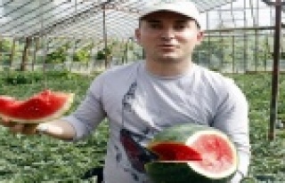 TÜRKİYE’NİN İLK KARPUZ HASADI ANTALYA’DAN