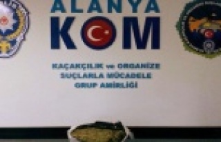 ALANYA'DA UYUŞTURUCU OPERASYONU