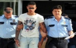 HIRSIZLIK ZANLISI HOLLANDALI TURİST TUTUKLANDI