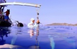 KAŞ'TA DÜNYA SUALTI ŞAMPİYONASI