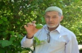 40 YILLIK GELİRİNİ ALANYA'YA BORÇLU