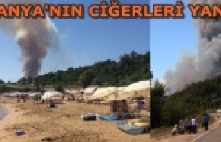 AYNI GÜN BEŞİNCİ ORMAN YANGINI