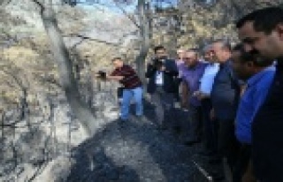 BAKAN ÇAVUŞOĞLU YANGIN BÖLGESİNDE