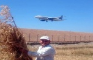 MAHALLELİ UÇAKLARLA İÇ İÇE YAŞIYOR