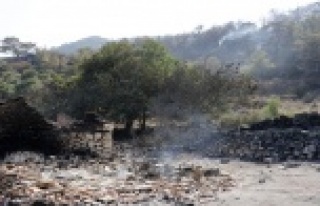 “EN ÇOK YANAN HAYVANLARA ÜZÜLDÜM”