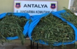 FOTO KAPANLI UYUŞTURUCU OPERASYONU