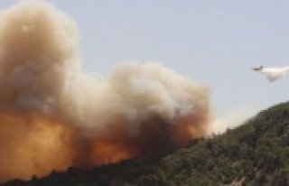 KUMLUCA'DAKİ YANGIN TEKRAR BAŞLADI