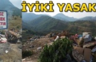 MUHTARIN MOLOZ VE ÇÖP İSYANI