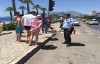 ŞÜPHELİ ÇANTADAN NE ÇIKTI?