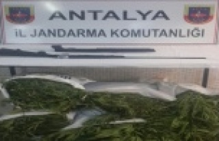 UYUŞTURUCU OPERASYONU