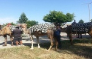 UYUŞTURUCU SATICISI ÇIKTI