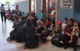 70 KAÇAK GÖÇMEN YAKALANDI