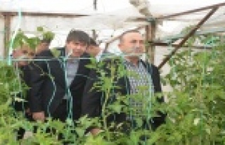 ÇAVUŞOĞLU'NA 1 MİLYON TL TEŞEKKÜRÜ