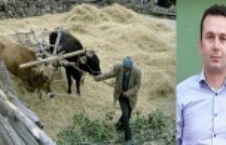 TOKAR ŞENLİKLERİ ERTELENDİ