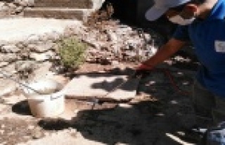 ALANYA'DA SİNEKLE BİYOLOJİK MÜCADELE