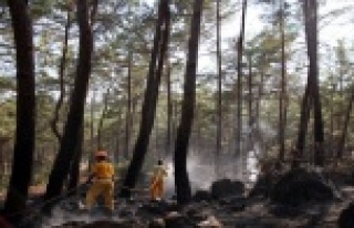 İŞTE CENNETTEKİ YANGININ BİLANÇOSU