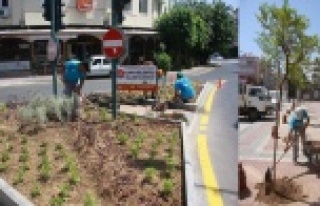 PRESTİJ CADDESİ YEŞİLLENDİRİLİYOR