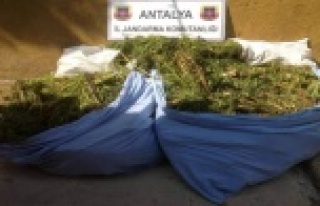 YAYLA EVİNE ESRAR BASKINI