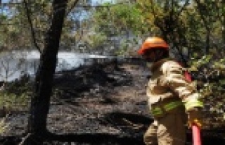Alanya'da iki ayrı yangın