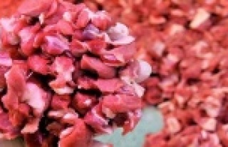 AYIPLI LİSTEDE 5 ANTALYALI VAR