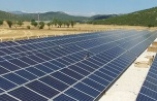 GÜNEŞ TARLASI ÜRETİME HAZIR