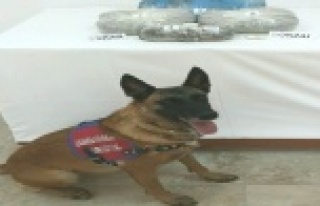 JANDARMA'DAN UYUŞTURUCU OPERASYONU