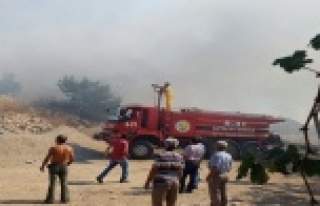 Korkutan orman yangını