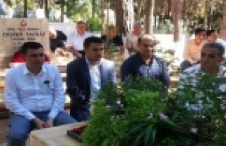 Şehit abisinin isyanı