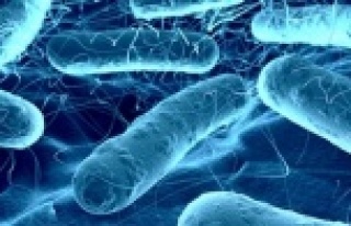 Vücudumuzda 90 trilyon mikrop taşıyoruz