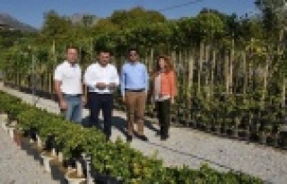 Ekeceği bitki ve çiçeği kendi üretiyor