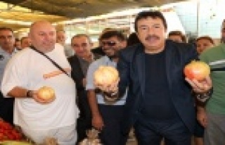 Gazipaşa narına hayran kaldılar