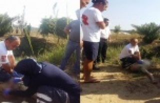 Kalbi duran kazazede hayata döndürüldü