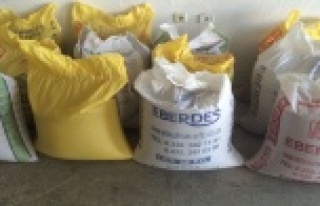 Susam hırsızları yakalandı