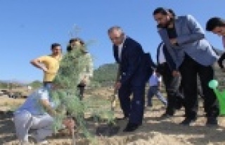 ALKÜ Kestel Kampüsünü ağaçlandırıyor