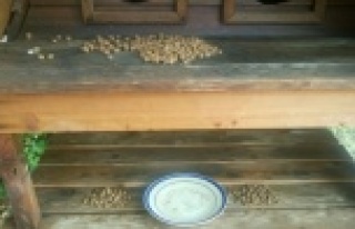 Barınaklar temizlendi