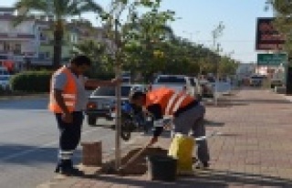 Konaklı güzelleşiyor