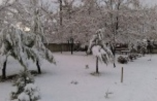 Mevsimin ilk karı yağdı