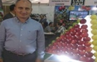 'Sayın Bakanımız bilse bunları kovar'